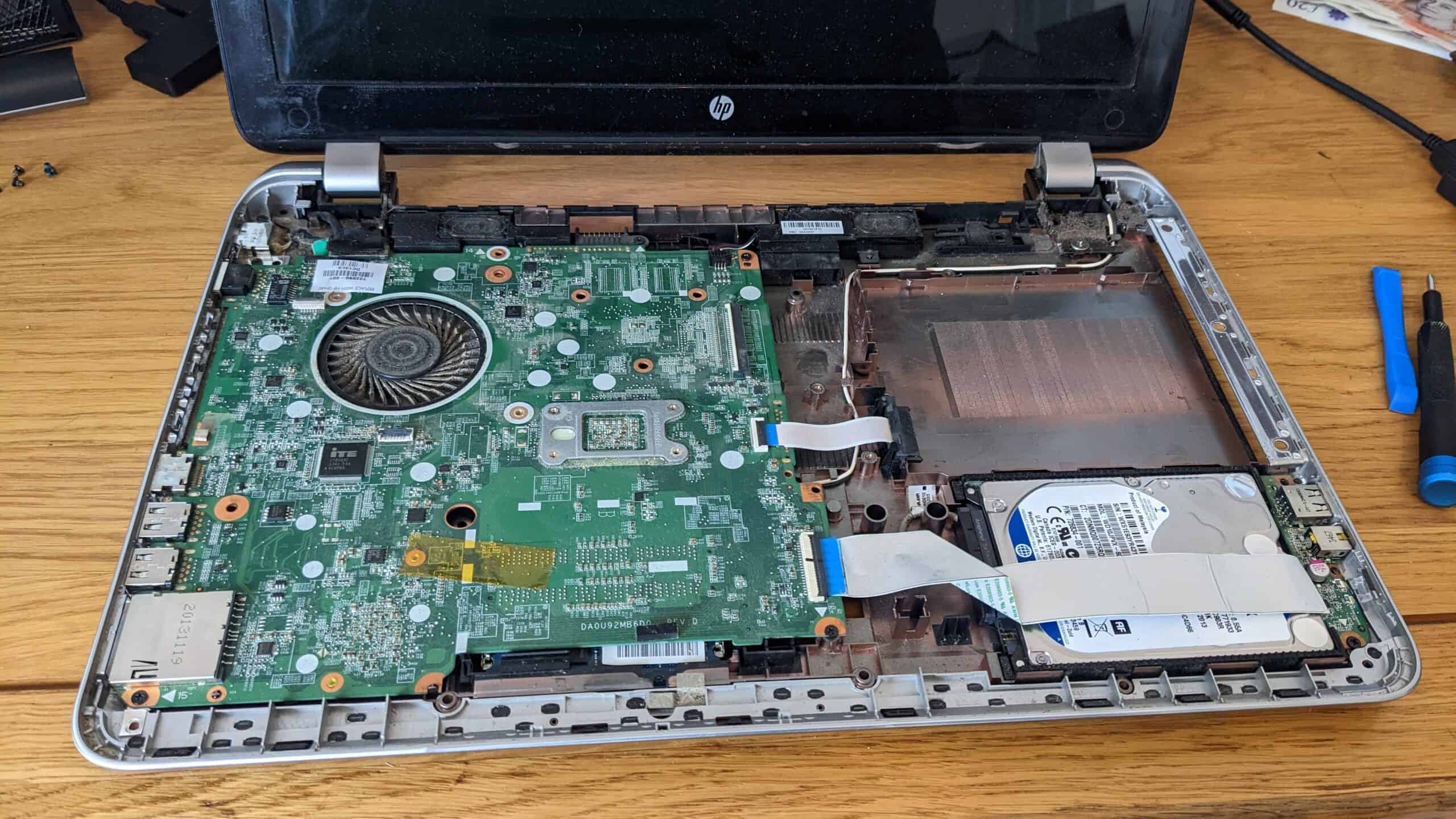 PXL 20221209 112301592 scaled